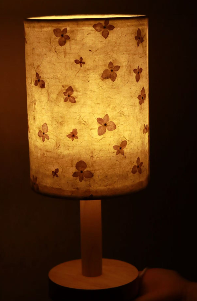 图片[2]-花草纸灯（体验）-笨物志