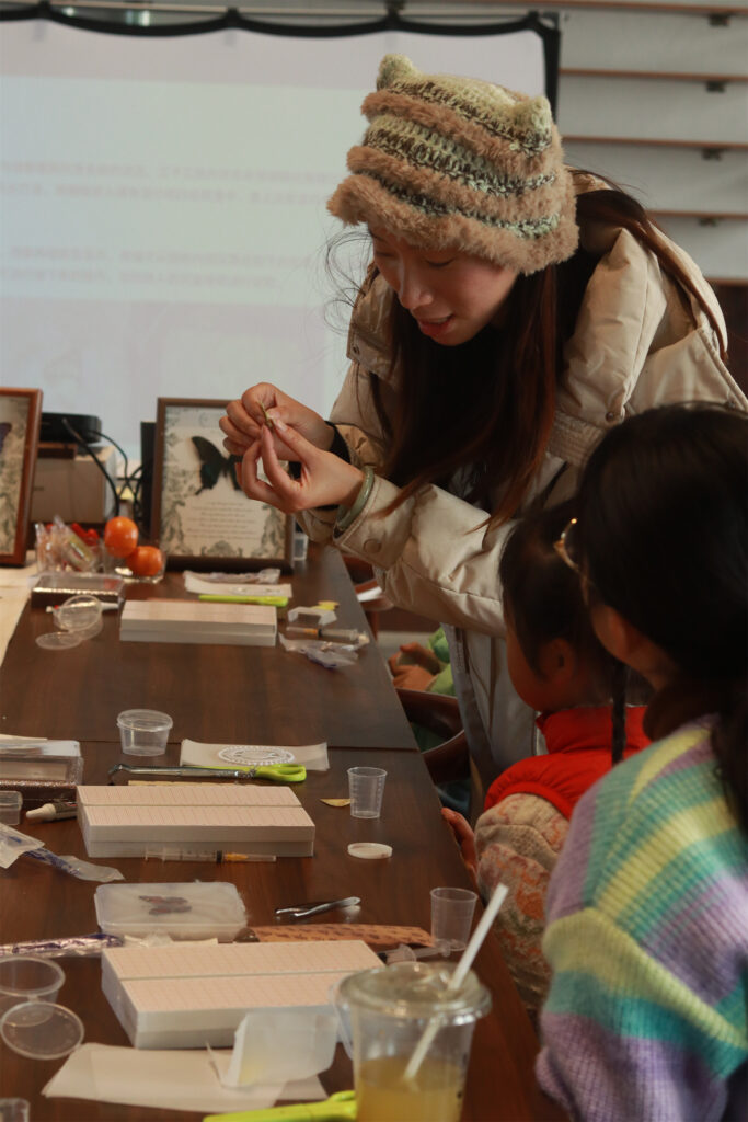 图片[5]-【活动回顾 | 探寻蝴蝶之美，亲手留存自然记忆】-笨物志