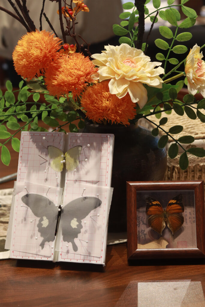 图片[13]-【活动回顾 | 探寻蝴蝶之美，亲手留存自然记忆】-笨物志