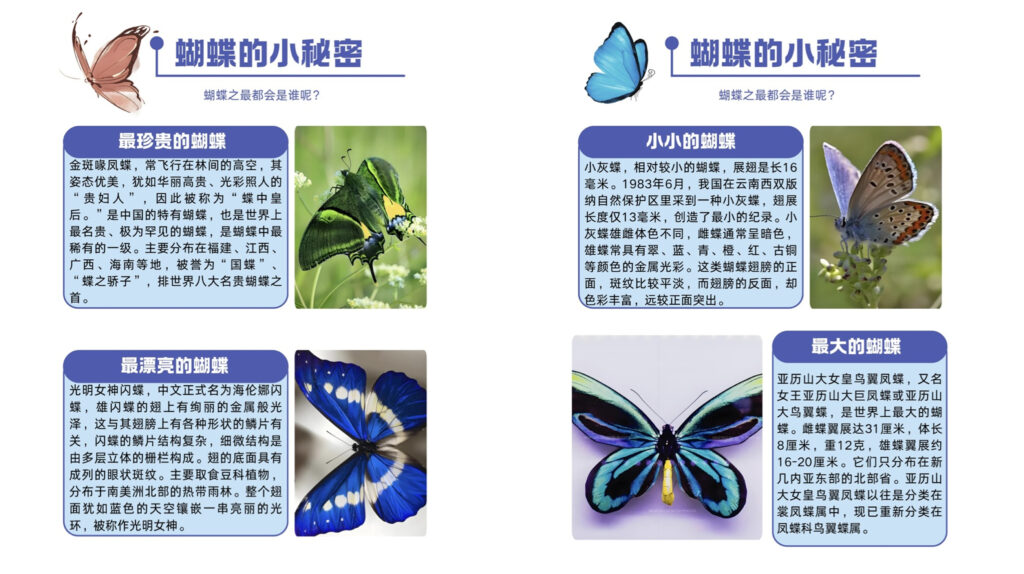 图片[2]-【活动回顾 | 探寻蝴蝶之美，亲手留存自然记忆】-笨物志