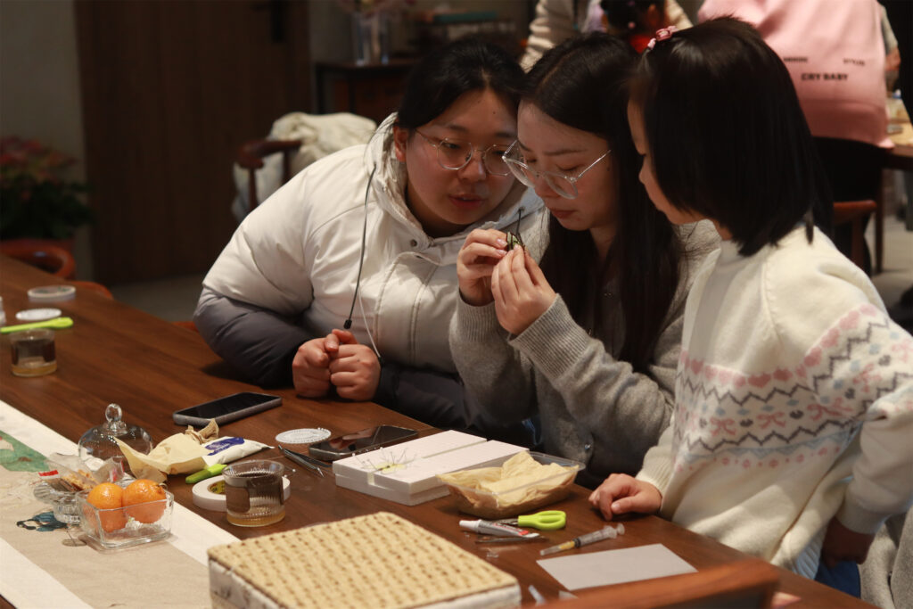 图片[6]-【活动回顾 | 探寻蝴蝶之美，亲手留存自然记忆】-笨物志