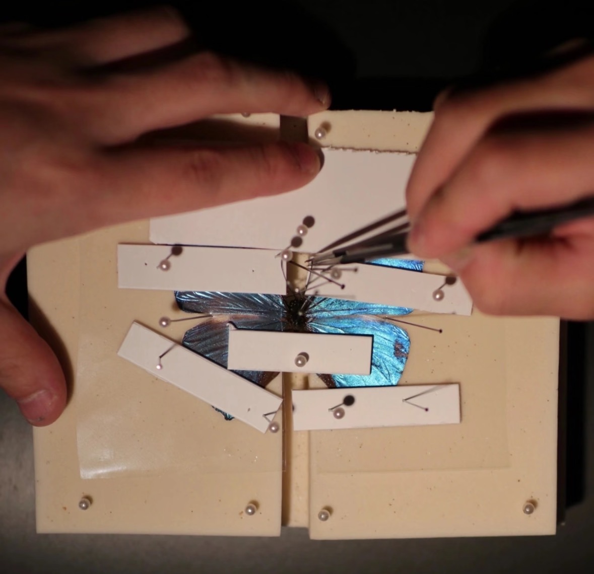 笨物志-非遗扎染合香掐丝珐琅古法造纸岩彩技艺,江苏非遗集合店,无锡非遗集合店,礼品定制