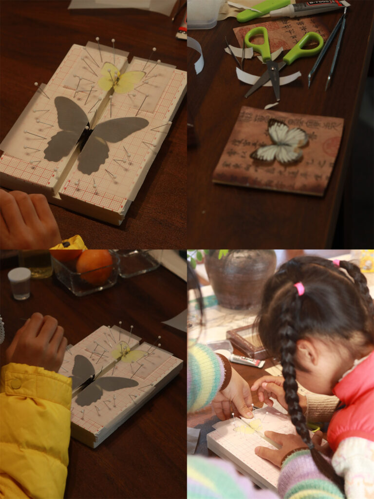 图片[7]-【活动回顾 | 探寻蝴蝶之美，亲手留存自然记忆】-笨物志