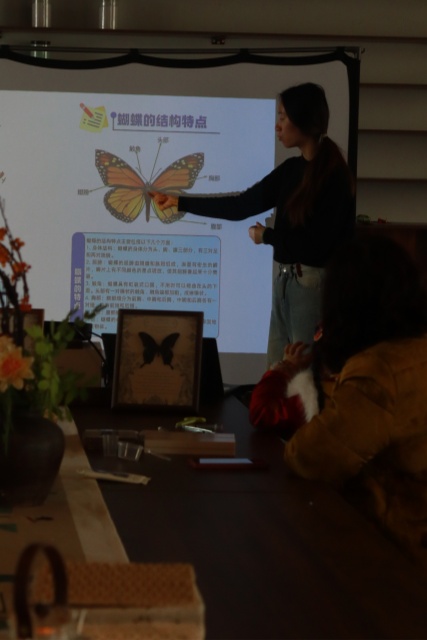 图片[3]-【活动回顾 | 探寻蝴蝶之美，亲手留存自然记忆】-笨物志