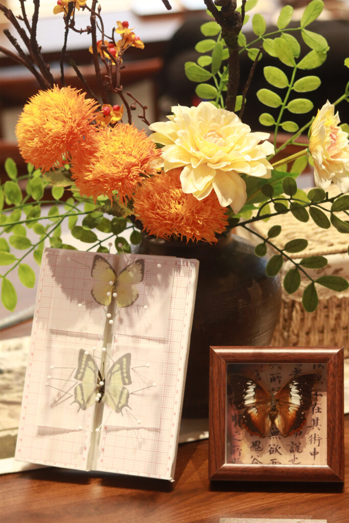 图片[14]-【活动回顾 | 探寻蝴蝶之美，亲手留存自然记忆】-笨物志