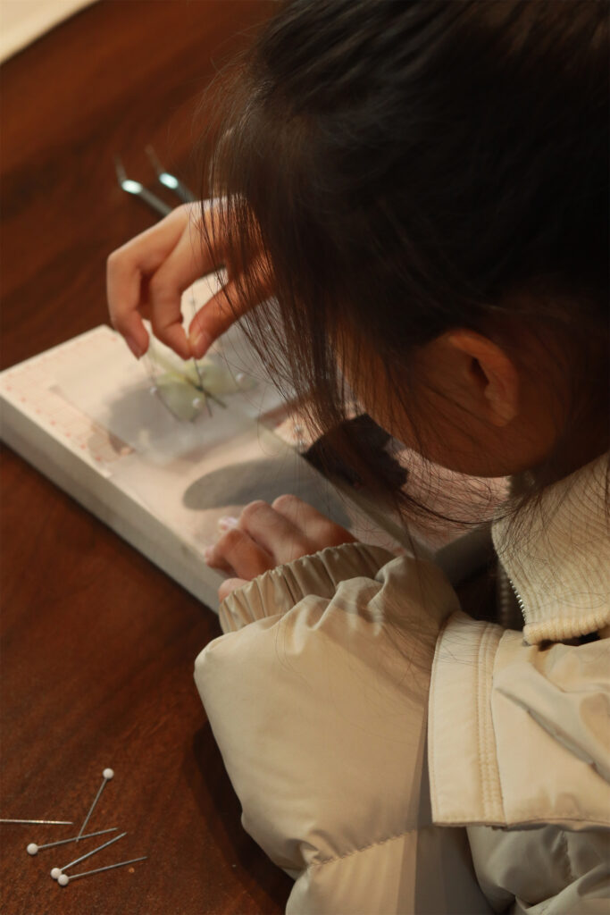 图片[8]-【活动回顾 | 探寻蝴蝶之美，亲手留存自然记忆】-笨物志