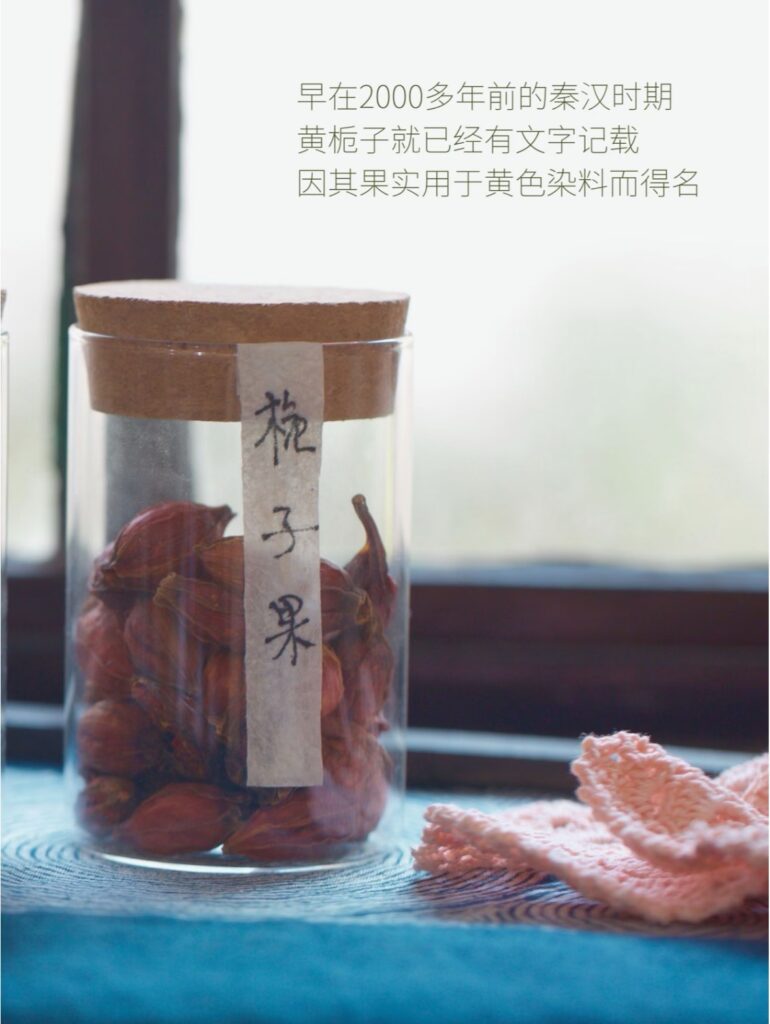 图片[4]-草木染裙・拾色自然｜黄绿蓝非遗体验-笨物志
