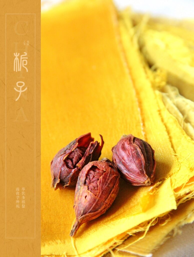 图片[3]-草木染裙・拾色自然｜黄绿蓝非遗体验-笨物志