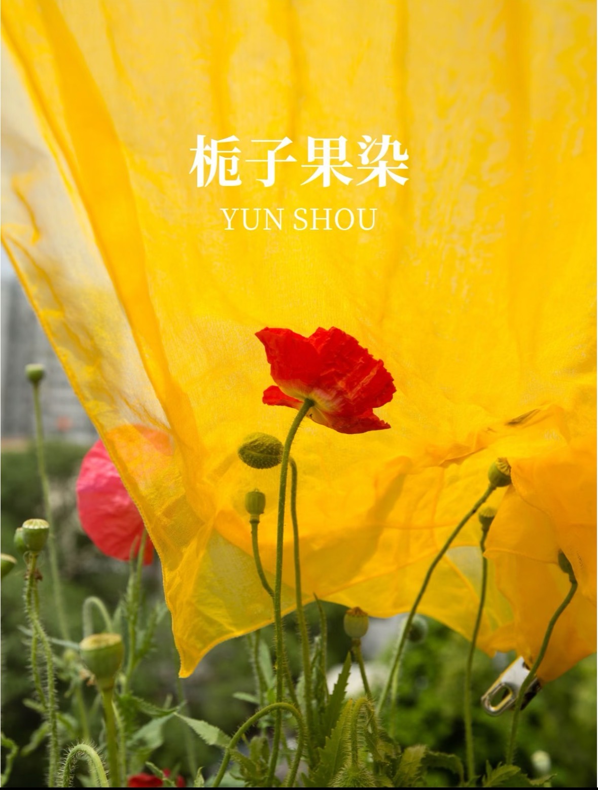 笨物志-非遗扎染合香掐丝珐琅古法造纸岩彩技艺,江苏非遗集合店,无锡非遗集合店,礼品定制